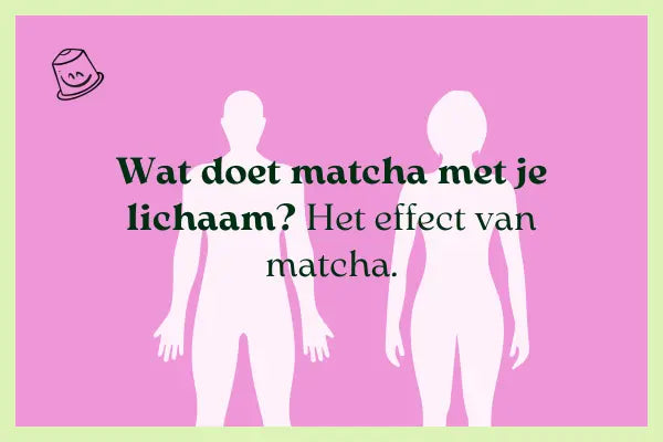 Wat doet Matcha met je lichaam?