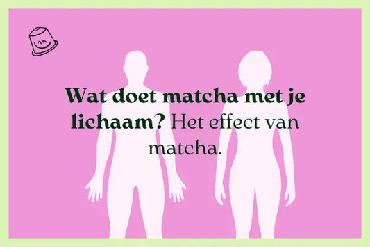 Wat doet Matcha met je lichaam?